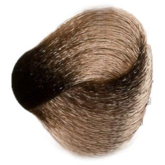 #8.01 - Light Ash Blonde 100ml