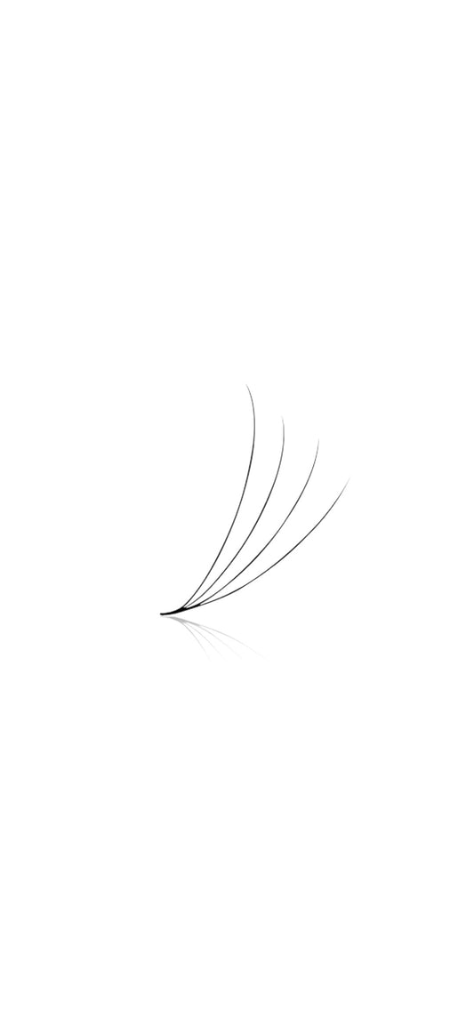 PRO-MADE 4D FANS- C CURL 0.07 LOOSE 500 Fans
